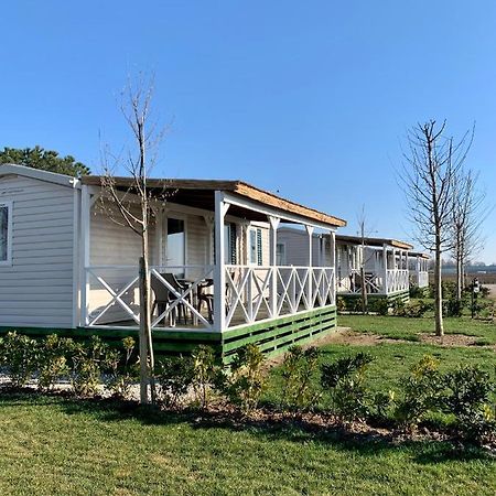 Agriturismo Nonno Mario Fossone d'Adige Dış mekan fotoğraf